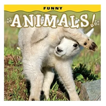 Funny Animals