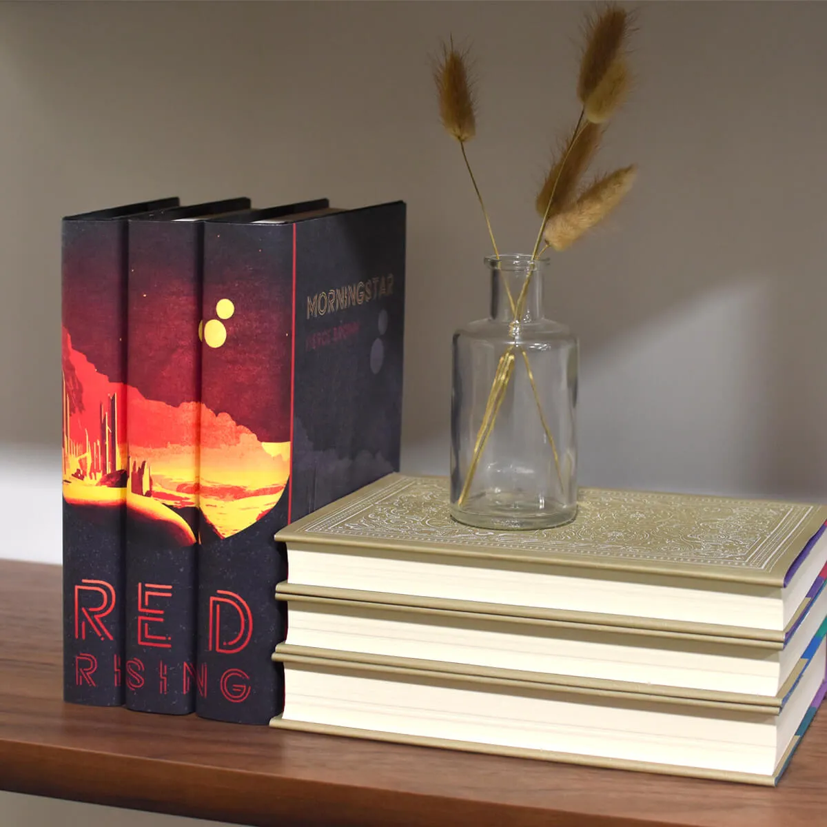 Pierce Brown Red Rising Book and Jacket Set